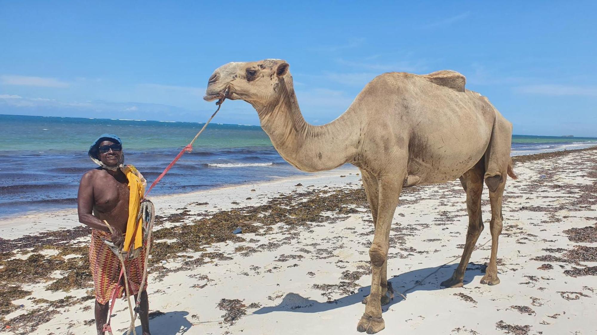 Lalasalama B&B Watamu Exteriör bild