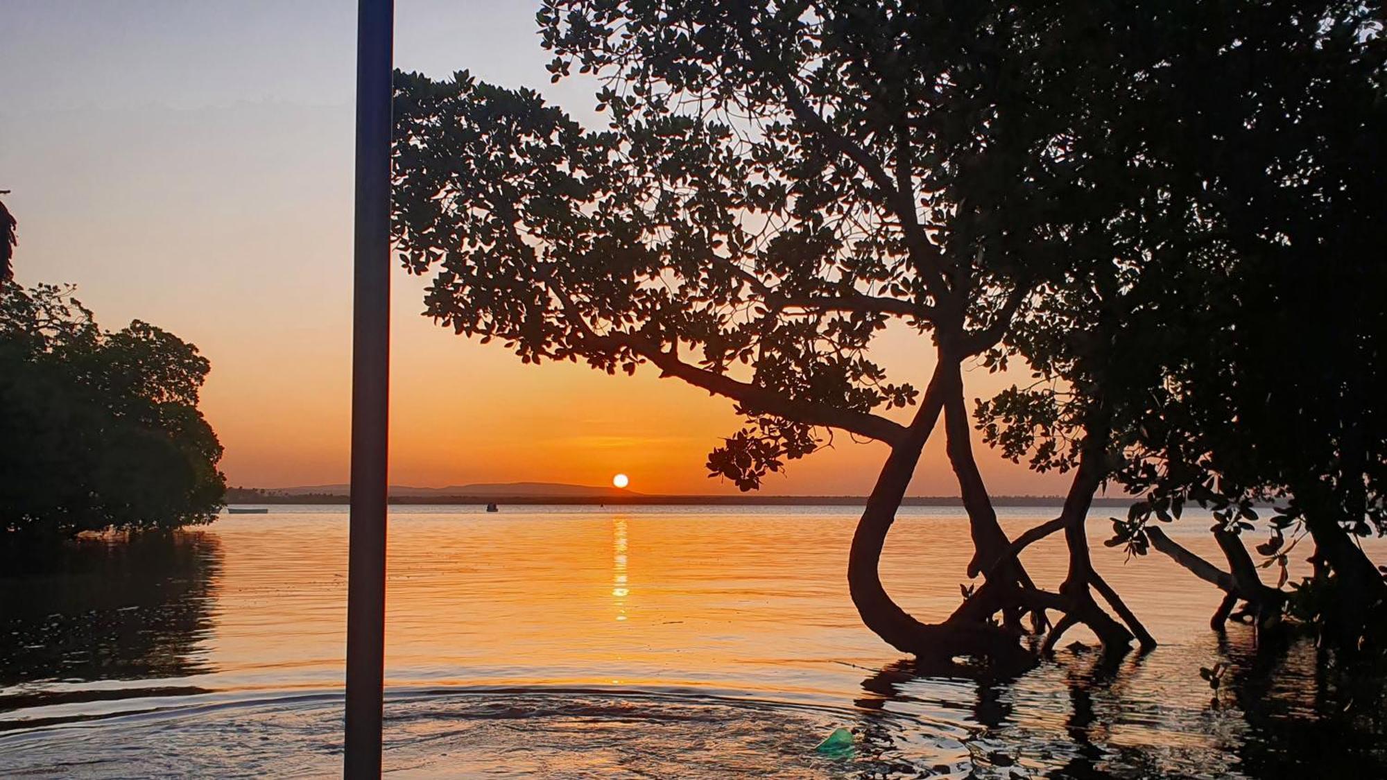 Lalasalama B&B Watamu Exteriör bild