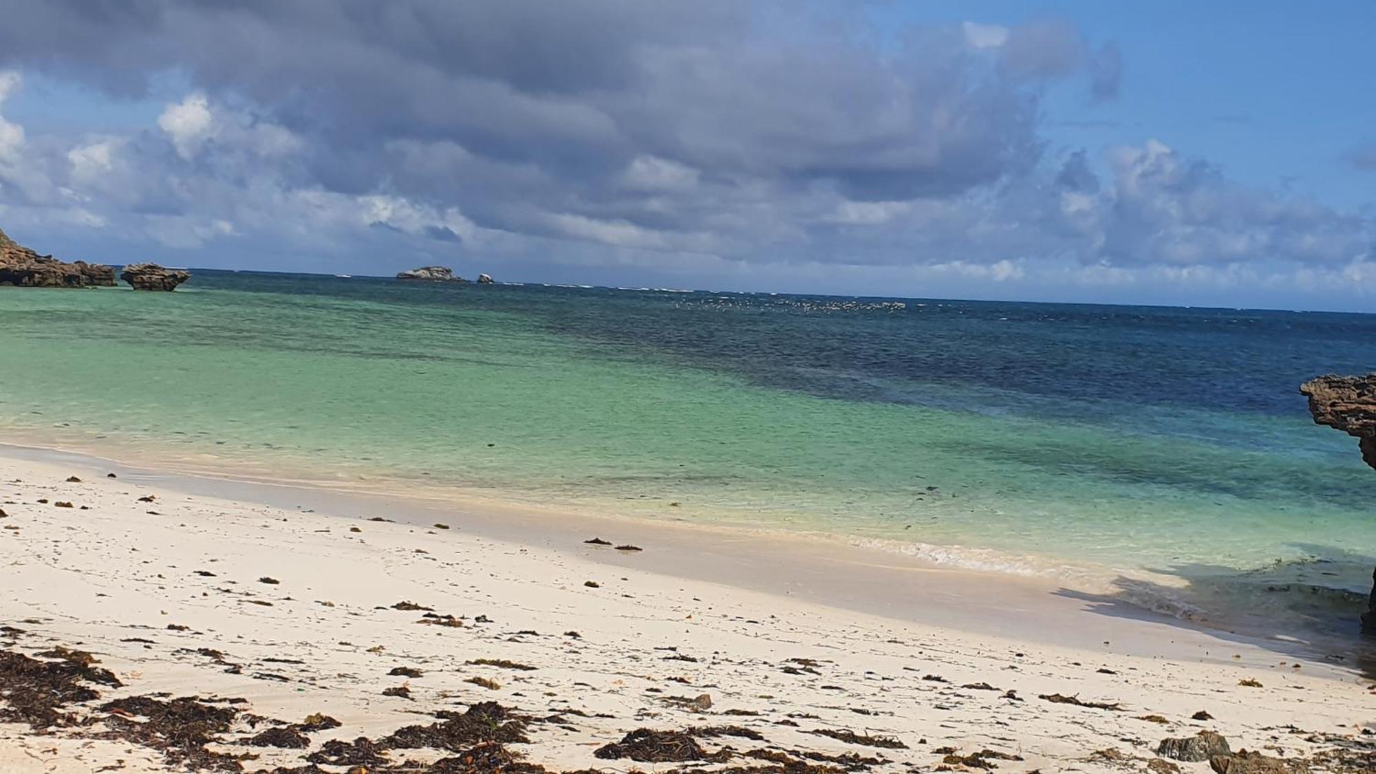 Lalasalama B&B Watamu Exteriör bild